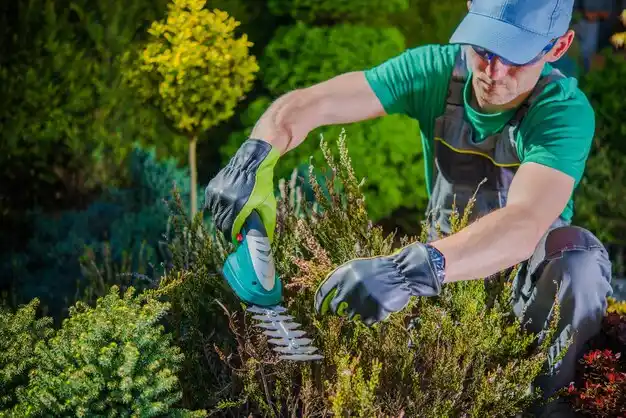 landscaping services Anacoco